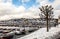 Risor, Norway - March 16, 2018: The city and harbour of Risor, Norway. Tree and boats in the front, town in the