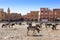 Rissani market in Morocco and the parking of donkeys and mules.