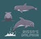 Risso`s Dolphin Cartoon Vector Illustration