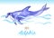 Risso\'s Dolphin. Hand drawn vector watercolor illustration.