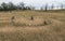 Ritual circles on the shores of Lake Baikal