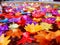 Ritual praying colorful candle floating on water for pray buddha