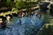 Ritual Purification Bath at Tirta Empul Temple