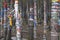 Ritual ribbons on tree in sacred forest in Siberia