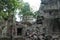 Riuns of Angkor Wat temple Ta Phrom