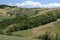 Rivalta di Lesignano Parma, Italy: summer landscape