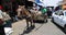 Rivas Nicaragua horse drawn cart traffic busy urban street market