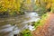 River Allen in autumn