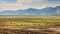 river alluvial plains landscape