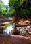 River amongst large stones in summer forest