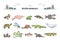 River animals or underwater species in wet environment outline collection set