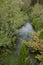 The River Anton in Andover, Hampshire in the UK