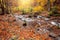 River in autumn colors forest