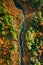 River and autumn swamps. Aerial view of wildlife, Poland