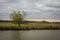 The river bank in the Danube Biosphere Reserve near the town of Vylkove. Ukraine