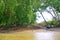 River bank at Klong Khone Mangrove Forest