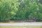 River bank at Klong Khone Mangrove Forest