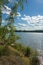 River bank with small birches in the summer sunlight