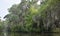 River Bayou Landscape in Southern Louisiana