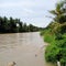 the river becomes cloudy because of the rain