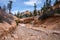 River bed leading to a waterfall in Bryce Canyon National Park.