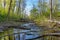 River blocked and drained from water by beavers