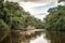 river boat cruising through the dense amazon jungle, with trees towering overhead