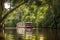 river boat cruising through the dense amazon jungle, with trees towering overhead