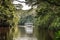 river boat cruising through the dense amazon jungle, with trees towering overhead