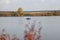 River, boat, fishing, autumn