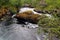 River Bondhuselva flowing out of lake Bondhus in Folgefonna national park, Hordaland county, Norway