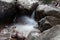 River in Bonifato forest near Calvi Corsica in the Balagne region