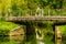 River with bridge. Coulon town in France