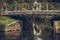 River with bridge. Coulon town in France