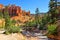 River and bridge through the hoodoos of Bryce Canyon National Park, Utah, USA