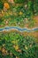 River and brown swamp. Aerial view on wildlife in autumn