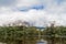 River Carrao and tepui