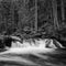 River Cascade in the Woods - Monochrome