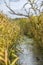 River channel surrounded by reeds in autumn in Poland.