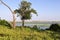 River Chobe