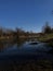 River with choppy waters and weathered trees at the shore during the daytime