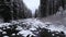River in the cold of winter flows between the trees of a tall forest with snow