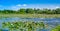 River in countryside, water lilies on river. Good day of summer