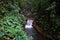 River in the Curi Cancha Reserve, Monteverde