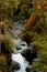 River cuts through the valley - Englishman river falls, Vancouver Island, BC