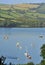 River Dart, natural harbour, Devon