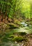 River deep in mountain forest