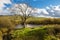 The river Doe near the Beezley Falls above Ingleton