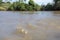 River Dourados in Mato Grosso do Sul