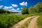 River Drava landscape and path